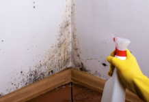 Prirodni načini za uklanjanje plijesni