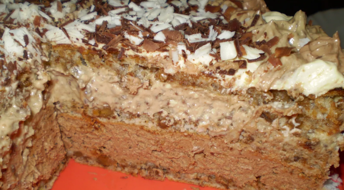 Bosancica torta – Kraljica domaćih deserata koju svi OBOŽAVAJU!