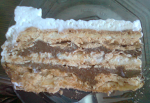 PUSLICA TORTA koja se topi u ustima – Savršeni spoj hrskavog i kremastog!