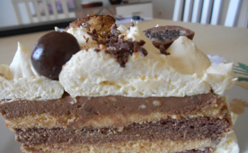 Najkremastija PLAZMA TORTA – Ukus koji ostavlja bez riječi!