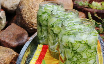 Brza, svježa i hrskava: Starinska danska salata od krastavaca!