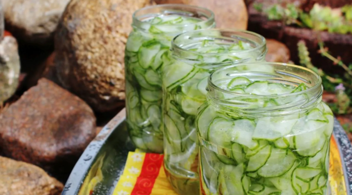Brza, svježa i hrskava: Starinska danska salata od krastavaca!