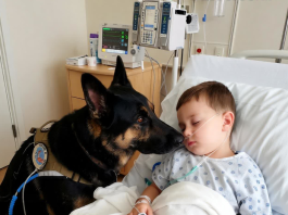 Čudo u intenzivnoj njezi: pas koji je spasio život dječaku