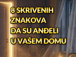 Mir, nada i uteha kroz male, neočekivane signale