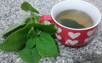 Kako origano može postati saveznik u očuvanju zdravlja