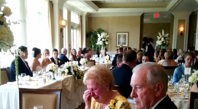 Svekrva koja je ponizila moje roditelje na venčanju – ali karma je stigla brzo