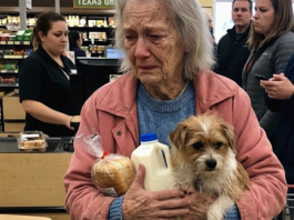 Kada mali čin dobrote promijeni tok života