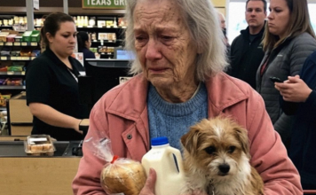 Kada mali čin dobrote promijeni tok života