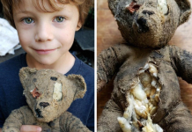 Pritisnuo sam stomak plišanog mede — i čuo: „POMOZI MI!“