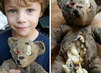 Pritisnuo sam stomak plišanog mede — i čuo: „POMOZI MI!“