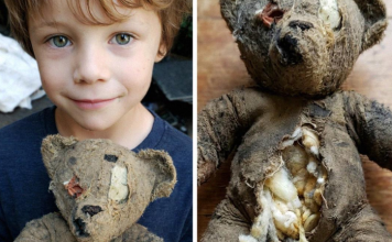 Pritisnuo sam stomak plišanog mede — i čuo: „POMOZI MI!“