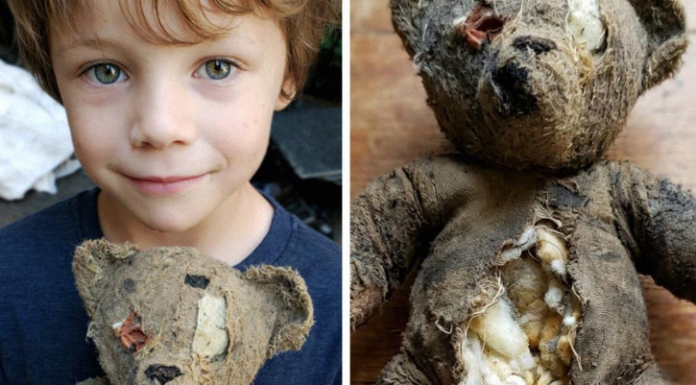 Pritisnuo sam stomak plišanog mede — i čuo: „POMOZI MI!“