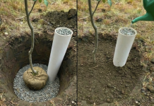 Pametna metoda zalijevanja biljaka uz pomoć PVC cijevi