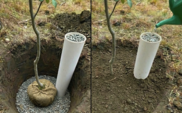 Pametna metoda zalijevanja biljaka uz pomoć PVC cijevi