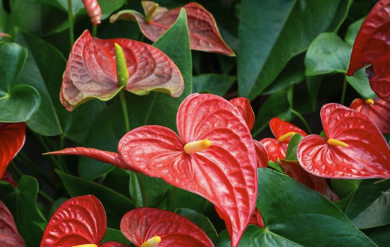 Slika zaslona 2026-03-08 u 13.04.54