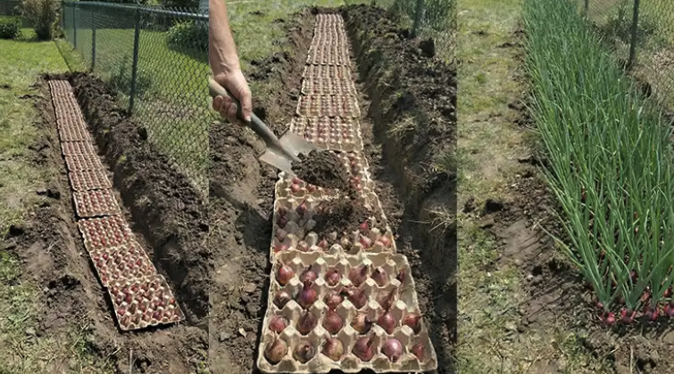 Slika zaslona 2026-03-09 u 06.56.58