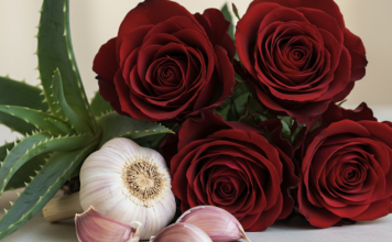 Jednostavan trik za uspješno razmnožavanje ruža