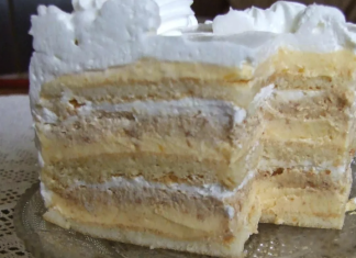 Bela Plazma torta – kremasti desert koji osvaja na prvi zalogaj