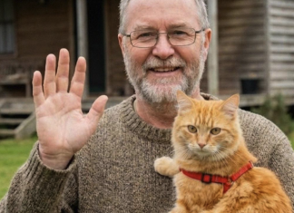 Moj komšija je nestao nakon što mi je povjerio svog mačka – a istina koju sam otkrila promijenila je moj život iz temelja