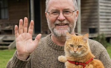 Moj komšija je nestao nakon što mi je povjerio svog mačka – a istina koju sam otkrila promijenila je moj život iz temelja