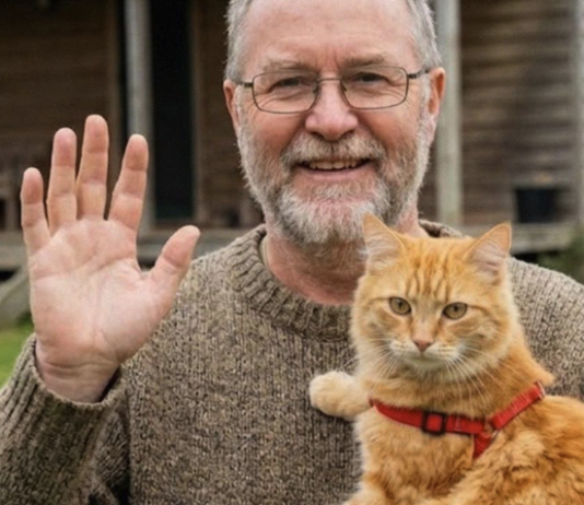 Moj komšija je nestao nakon što mi je povjerio svog mačka – a istina koju sam otkrila promijenila je moj život iz temelja