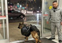 Pas je uletio u bolnicu s torbom — ono što su pronašli unutra dirnulo je sve