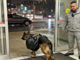 Pas je uletio u bolnicu s torbom — ono što su pronašli unutra dirnulo je sve