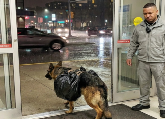 Pas je uletio u bolnicu s torbom — ono što su pronašli unutra dirnulo je sve
