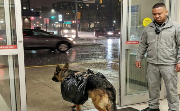 Pas je uletio u bolnicu s torbom — ono što su pronašli unutra dirnulo je sve