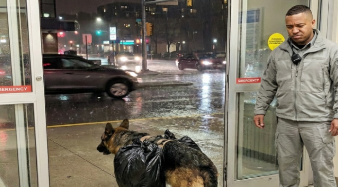 Pas je uletio u bolnicu s torbom — ono što su pronašli unutra dirnulo je sve