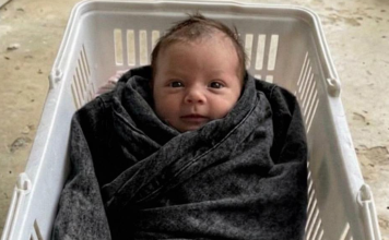 Ko je ostavio bebu na mom pragu i zašto nosi jaknu moje ćerke?