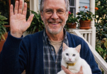 Misterija nestalog komšije i mačke koja je čuvala najveću porodičnu tajnu