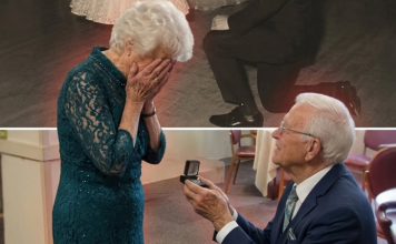 Na svoj 80. rođendan pronašao je ljubav iz mladosti i zaprosio je nakon 60 godina razdvojenosti